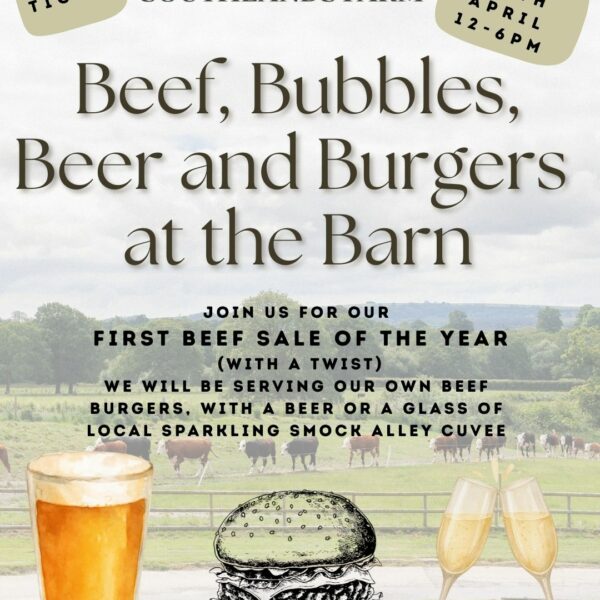 Bubbles, Beer and Beef Burger Ticket